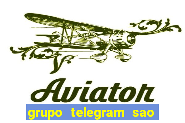 grupo telegram sao jose do rio preto